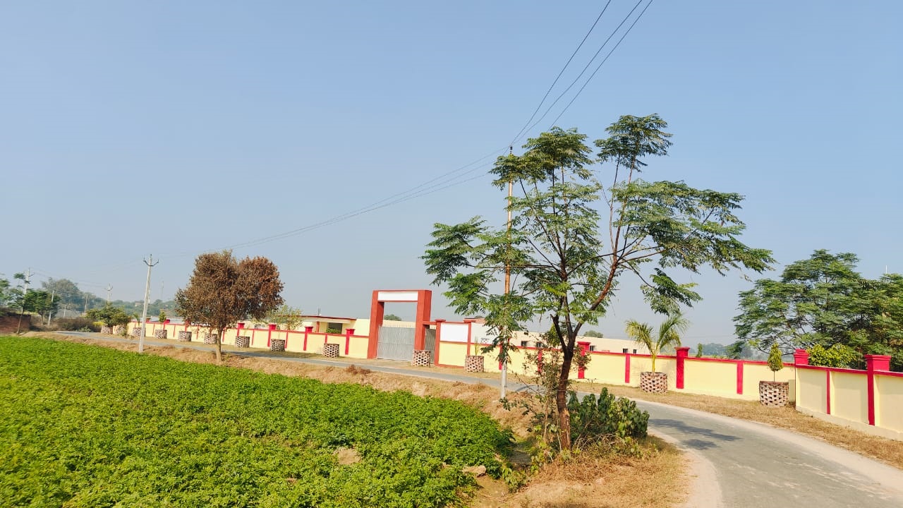 Image-8